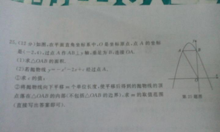 最准一肖一码100警惕虚假宣传、全面解答与解释、全面解答解释落实